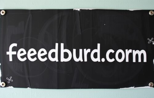 feedbuzzard .com
