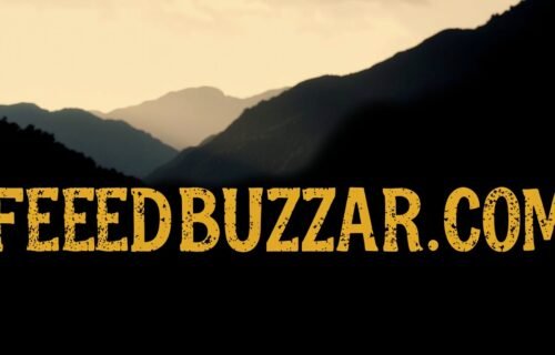 feedbuzzard com latest